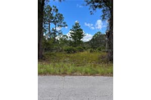549 VANGUARD AVENUE, LAKE PLACID, FL 33852 - MLS#MFRL4956507