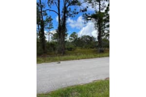 549 VANGUARD AVENUE, LAKE PLACID, FL 33852 - MLS#MFRL4956507