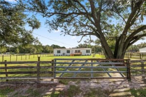 7043 GLEN MEADOW DRIVE, LAKELAND, FL 33810 - MLS#MFRL4956529