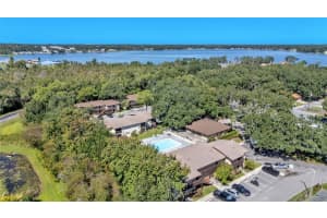 141 FERNERY ROAD, LAKELAND, FL 33809 - MLS#MFRL4956535