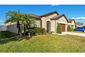 8615 RINDGE ROAD, POLK CITY, FL 33868 - MLS#MFRL4956757