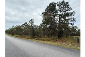 NW AMBERJACK AVE, DUNNELLON, FL 34431 - MLS#MFRL4956794