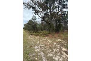 NW AMBERJACK AVE, DUNNELLON, FL 34431 - MLS#MFRL4956794