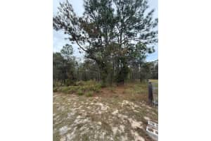 NW AMBERJACK AVE, DUNNELLON, FL 34431 - MLS#MFRL4956794