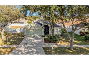 2729 Pankaw Ln, VALRICO 2729 Pankaw Ln, VALRICO