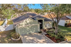 2729 PANKAW LANE, VALRICO, FL 33596 - MLS#MFRL4956940