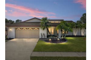 16404 ASHWOOD DRIVE, TAMPA, FL 33624 - MLS#MFRL4956967