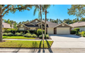 8710 TANTALLON CIRCLE, TAMPA, FL 33647 - MLS#MFRL4957000