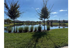 915 WATERFALL BOULEVARD, DAVENPORT, FL 33837 - MLS#MFRL4957048