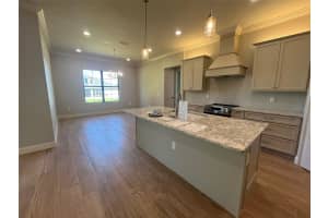 3004 POLLARD DRIVE, LAKELAND, FL 33812 - MLS#MFRL4957056