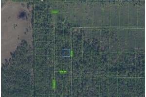 4817 PALM ROAD, SEBRING, FL 33875 - MLS#MFRL4957136