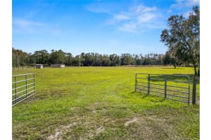1828 GATOR CREEK RANCH ROAD, LAKELAND, FL 33809 Sold 03/19/26