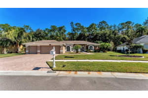 2565 APPALOOSA TRAIL, PALM HARBOR, FL 34685 - MLS#MFRL4957332