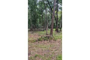 4520 SADDLE CREEK FARM ROAD, LAKELAND, FL 33801 Sold 12/25/25