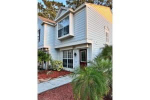 13917 Fletchers Mill Dr, TAMPA
