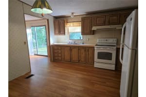 733 1ST STREET, POLK CITY, FL 33868 - MLS#MFRL4957507