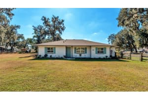 1005 SWILLEY ROAD, PLANT CITY, FL 33567 - MLS#MFRL4957512