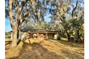 1516 HAWK GRIFFIN ROAD, PLANT CITY, FL 33563 - MLS#MFRL4957525