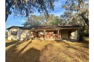 1516 HAWK GRIFFIN ROAD, PLANT CITY, FL 33563 - MLS#MFRL4957525