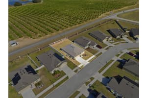 2001 AMBER SWEET CIRCLE, DUNDEE, FL 33838 - MLS#MFRL4957528