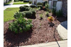 14422 MILLHOPPER ROAD, JACKSONVILLE, FL 32258 - MLS#MFRL4957564