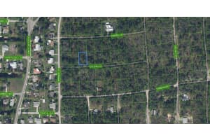 208 COLEEN LANE, LAKE PLACID, FL 33852 - MLS#MFRL4957597