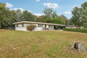 355 GLENCRUITEN AVENUE, LAKE ALFRED, FL 33850 - MLS#MFRL4957660