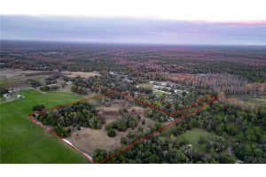 7229 JILL LANE, ZEPHYRHILLS, FL 33540 - MLS#MFRL4957838