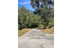 4125 TIGER CREEK TRL, LAKE WALES, FL 33898 - MLS#MFRL4957886
