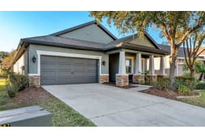 6247 HAWK GROVE COURT, WESLEY CHAPEL, FL 33545 - MLS#MFRL4957903