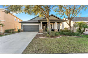 6247 HAWK GROVE COURT, WESLEY CHAPEL, FL 33545 - MLS#MFRL4957903