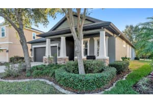 6247 HAWK GROVE COURT, WESLEY CHAPEL, FL 33545 - MLS#MFRL4957903