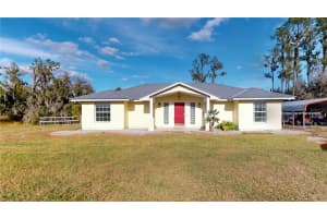 1193 SAND MOUNTAIN ROAD, FORT MEADE, FL 33841 - MLS#MFRL4957919