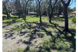 34779 HIBISCUS DRIVE, DADE CITY, FL 33523 - MLS#MFRL4958035