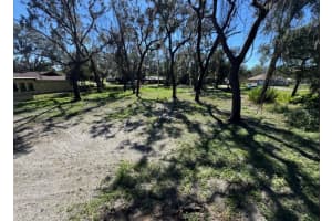 34779 HIBISCUS DRIVE, DADE CITY, FL 33523 - MLS#MFRL4958035