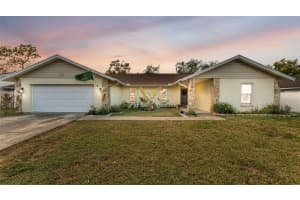 2207 GATEWOOD STREET, PLANT CITY, FL 33563 - MLS#MFRL4958095