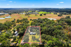 37644 OAK FORREST DRIVE, DADE CITY, FL 33523 - MLS#MFRL4958100