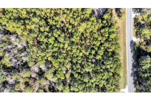 COMMONWEALTH AVE N, POLK CITY, FL 33868 - MLS#MFRL4958189