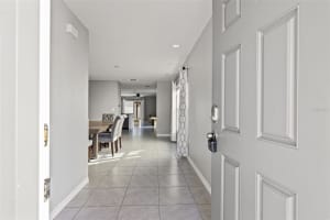 12115 LILY MAGNOLIA LANE, RIVERVIEW, FL 33569 - MLS#MFRL4958253