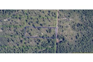 DILL RD, ORLANDO, FL 32820 - MLS#MFRL4958334