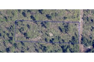 DILL RD, ORLANDO, FL 32820 - MLS#MFRL4958334