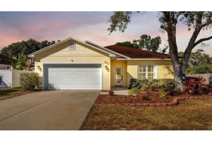 273 Hidden View Dr, GROVELAND 273 Hidden View Dr, GROVELAND