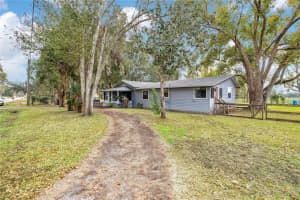 13713 WALDEN SHEFFIELD ROAD, DOVER, FL 33527 - MLS#MFRL4958476