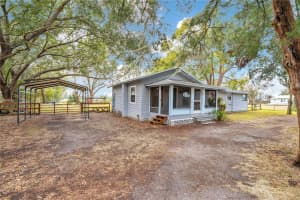 13713 WALDEN SHEFFIELD ROAD, DOVER, FL 33527 - MLS#MFRL4958476