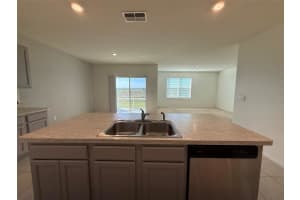 313 SOFIA LANE, LAKE ALFRED, FL 33850 - MLS#MFRL4958487