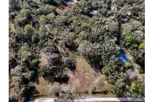 40550 SUTORUS ROAD, ZEPHYRHILLS, FL 33540 - MLS#MFRL4958517