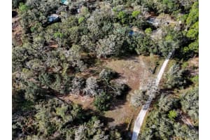 40550 SUTORUS ROAD, ZEPHYRHILLS, FL 33540 - MLS#MFRL4958517