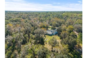 31445 AMBERLEA ROAD, DADE CITY, FL 33523 - MLS#MFRL4958572