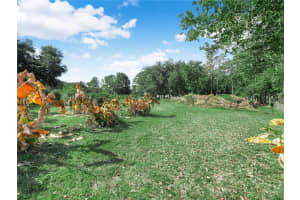 12524 ROCKRIDGE ROAD, LAKELAND, FL 33809 - MLS#MFRL4958588