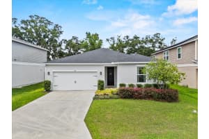 546 SCOTT LAKE CREEK LANE, LAKELAND, FL 33813 - MLS#MFRL4958629